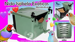 💙💕 Nido ISABELA para Exóticos 🐦 Moldes Ave