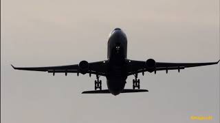 Delta Airlines A330-300 departing From RW36L at schiphol airport