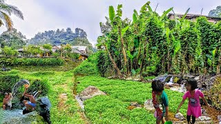 Bahaya PT. AQUA Jangan Sampai Tahu‼️Surga Mata Air Yang Tersembunyi Di Desa Indah Lereng Lawu