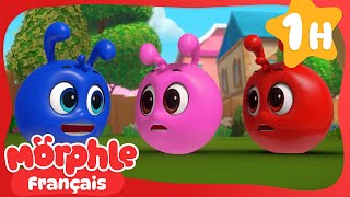 Tous des Morphles ! | Morphle en Français | Dessins Animés Pour Enfants