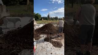 Preparing a biodynamic compost pile #organicfarming #biodynamicfarming