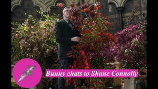 Bunny chats to Shane Connolly