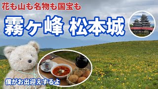 【長野観光１泊２日】車山ニッコウキスゲ満開 歩いて食べて 国宝松本城を見る【シニア夫婦のゆる登山日記No111】