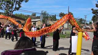 Dragon Dance for Chinese New Year Celebration