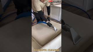 Professional Sofa Cleaning Near Me - Miami 305-631-5757