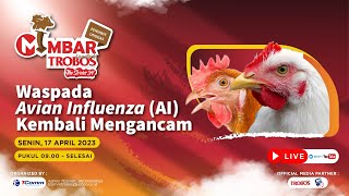 MIMBAR 34: Waspada Avian Influenza (AI) Kembali Mengancam