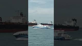 Warna🚤Baru || Wavemaster Fast Ferry 🚢Singapore🇮🇩Tanjung Pinang #shorts #ferry #wavemaster #viral