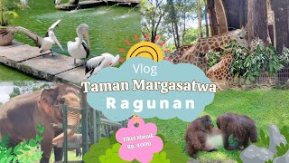 RAGUNAN ZOO || Keseruan di Kebun Binatang Ragunan