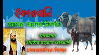 কোরবানি ত্যাগের অনুপম নিদর্শন । মাওলানা  সাব্বির রহমান ওসমানী