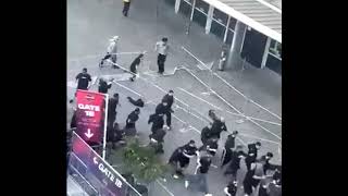 Fenerbahce Hooligans Hunting Panathinaikos (gayreekis) in Berlin