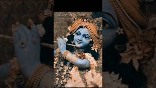 Older day-hare krishna nowadays-While watching krishna be like =lelele rampam leleli😂