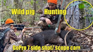 Wild pig 🐗 hunting with GoPro 7 side shot/ scope cam 2024 #Cz 512 22 wmr