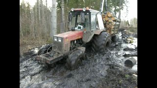 Belarus Mtz 1025 forestry tractor logging in wet forest