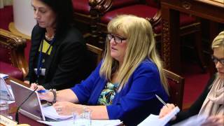 Health, Social Services and Public Safety Committee Meeting 09 March 2016