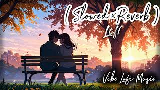 Tere Sang Khoya Hoon || Slowed And Reverb Songs Lofi Song | Romantic 2024 |Lofi| @toysip8231