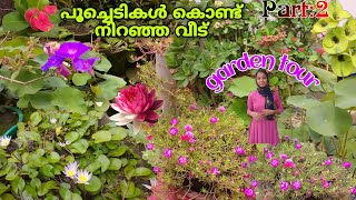 പൂക്കൾ കൊണ്ട് നിറഞ്ഞ വീട് കണ്ടാലോ😍/Garden tour/Fidhus world|