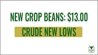 $13.00 New Crop Beans PLUS another Bank Bailout