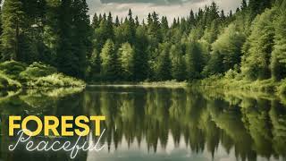 Tranquil Forest Sounds: Calm & Peaceful Nature Ambience (AI Non-Copyright)