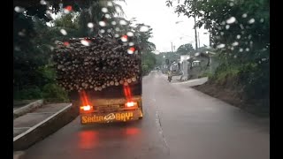 Road Trip Jalan Raya Jasinga - Tenjo | Suasana Perjalanan Naik Mobil Sore Hari