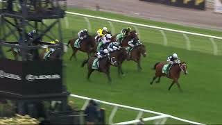 The panel praise to the Via Sistina ‘WORLD'S BEST HORSE’ after her victory in the Champions Stakes