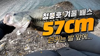 충주호 청풍권 (청풍호) 에서 57cm 겨울 배스를 만났습니다