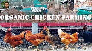 Organic Chicken Farming In Coimbatore