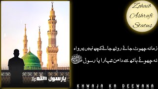 Na chootey Hath Se Daman Tumhara Ya Rasool Allah - Emotional Naat Status - Whatsapp Status - 2021