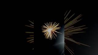 Arumugam fireworks magnifico🎇🎆