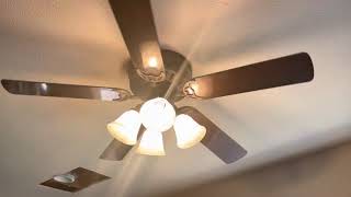 Ceiling Fans In My House