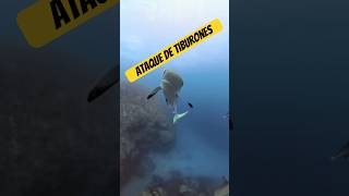 ATAQUE de TIBURONES a una insta 360 #colombia #tiburones #buceo