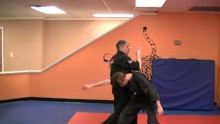 Flashing Wing - Kenpo self defense technique for a right punch