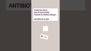 PROPOLIS si Antibiotik Alami. Say Goodbye to Jamur, Virus, Bakteri!!