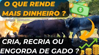 Qual rende MAIS DINHEIRO , Cria, Recria ou Engorda de gado ??