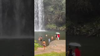 Queensland waterfall #qld #fall #creek #millaamillaafall #cairns #swimming #aussie #aus #australia