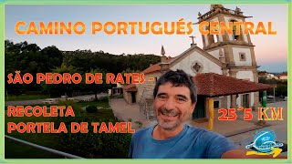 Camino Portugués: Encanto Rural desde São Pedro de Rates hasta Portela de Tamel" 🌿🏡Etapa 2