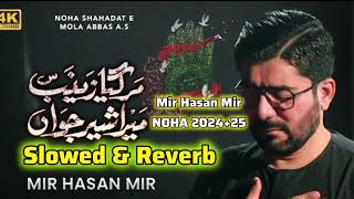 Mar Gaya Zainab Mera Sher e Jawan _ Mir Hasan Mir Nohay 2024 _ Muharram #slowedandreverb #slowednoha