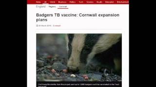 Badgers Vaccinated in Cornwall - Professor Rosie Woodroffe (2015)