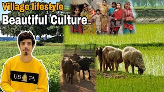 Beautiful Punjab Village In Pakistan 😍 ||Pakistani Culture And Lifestyle ❤️