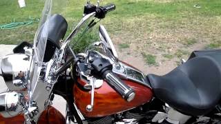 2003 Harley Davidson flstci Anniversary eddition with Andrews cams