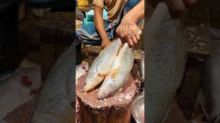 Amazing Poa Fish Cutting Skills In Bangladesh Fish Market By Expert Cutter #shorts