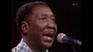 Muddy Waters - Got My Mojo Working