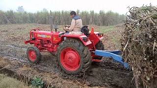 Mahindra 265 on ganna trolley