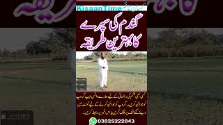 سپرے کا بہترین طریقہ کسان ٹایم kisan time kisaan time