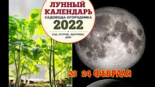 ЛУННЫЙ ПОСЕВНОЙ КАЛЕНДАРЬ НА ФЕВРАЛЬ 2022  БЛАГОПРИЯТНЫЕ ДНИ ДЛЯ ПОСЕВА  НЕ ПРОПУСТИТЕ ЭТИ ДНИ!