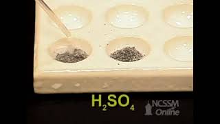 Concentration Effect on Rate of Reaction