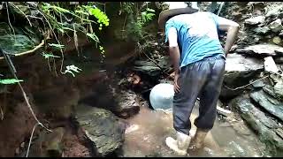 aparelho fez seus rasteamento lá vem surpresa, será ouro o que vamos encontrar.💚😄🏞️