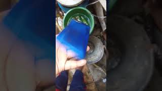 my phone drop in water. how to fix phone drop in water ?how to make a viral video.#shorts #viral ..?