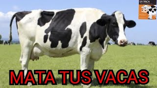 LA HISTORIA DE LA VACA. Cómo deshacernos del CONFORMISMO Y LA MEDIOCRIDAD. Vlogmas #21