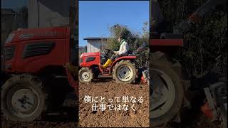 自然栽培 #自然栽培 #無肥料 #無農薬 #野菜 #農作業 ＃farm #shorts