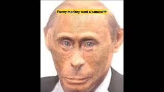 Funny monkey Putin want a Ukraine haha #putin #ukraine #ucraina #ukr